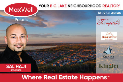 Sal Haji - Realtor operating in Big Lake Area - Edmonton